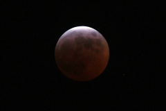 2007-03-03 Lunar Eclipse