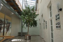 20070617-dscf4311-trabant-festival-zwickau