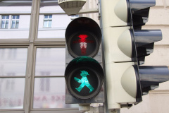 20070617-dscf4421-trabant-festival-zwickau