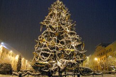 20071225-pecs-tree-edit-1