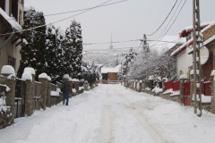 20080101-dscf0516-pecs