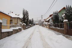 20080101-dscf0522-pecs
