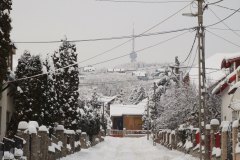 20080101-dscf0524-pecs