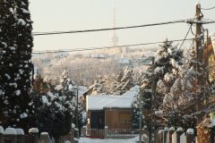 20080104-dscf0614-pecs