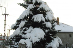 20080104-dscf0630-pecs