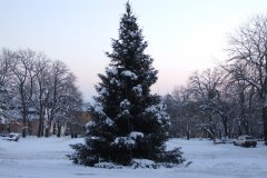 20080104-dscf0796-pecs