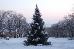 20080104-dscf0805-pecs