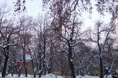 20080104-dscf0825-pecs