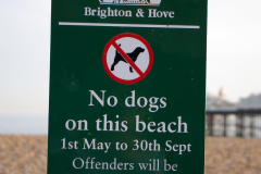 20080426-imgp0116-brighton