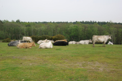 imgp3166