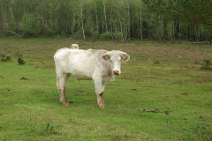 imgp3171