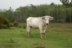 imgp3173