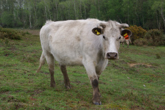 imgp3189