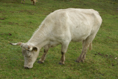 imgp3191