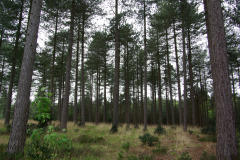 imgp3236