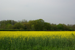 imgp3319