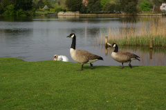 imgp3378
