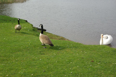 imgp3407