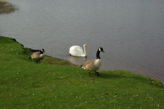 imgp3410