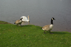 imgp3411