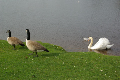 imgp3415