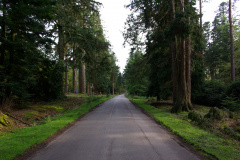 imgp3485