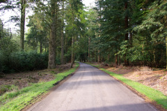 imgp3487