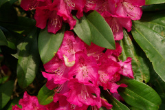 imgp3558