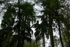 imgp3597