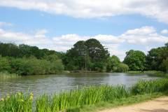 20080518-imgp6190-southampton-common