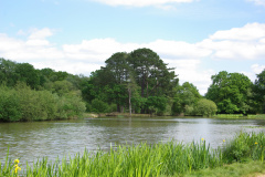 20080518-imgp6191-southampton-common