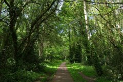 20080518-imgp6211-southampton-common