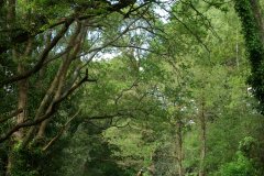 20080518-imgp6214-southampton-common