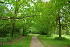 20080518-imgp6254-southampton-common