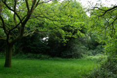 20080518-imgp6317-southampton-common