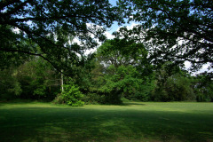 20080518-imgp6325-southampton-common