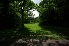 20080518-imgp6326-southampton-common