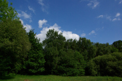 20080518-imgp6330-southampton-common