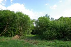 20080518-imgp6335-southampton-common