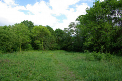 20080518-imgp6336-southampton-common