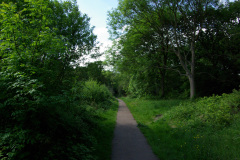 20080518-imgp6337-southampton-common