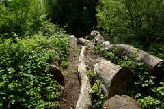 20080518-imgp6339-southampton-common