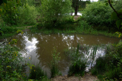 20080518-imgp6351-southampton-common