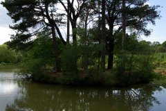 20080518-imgp6352-southampton-common