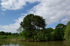 20080518-imgp6355-southampton-common