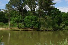 20080518-imgp6362-southampton-common