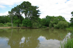20080518-imgp6367-southampton-common