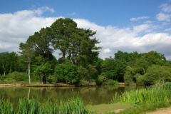 20080518-imgp6389-southampton-common