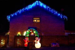2008-12-21 Gibbsey's Christmas lights