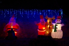 2008-12-21 Gibbsey's Christmas lights